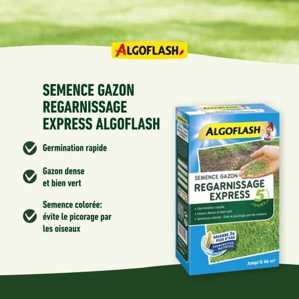 ALGOFLASH - Express påfyllning av gräsmattor 5 dagar 1 kg