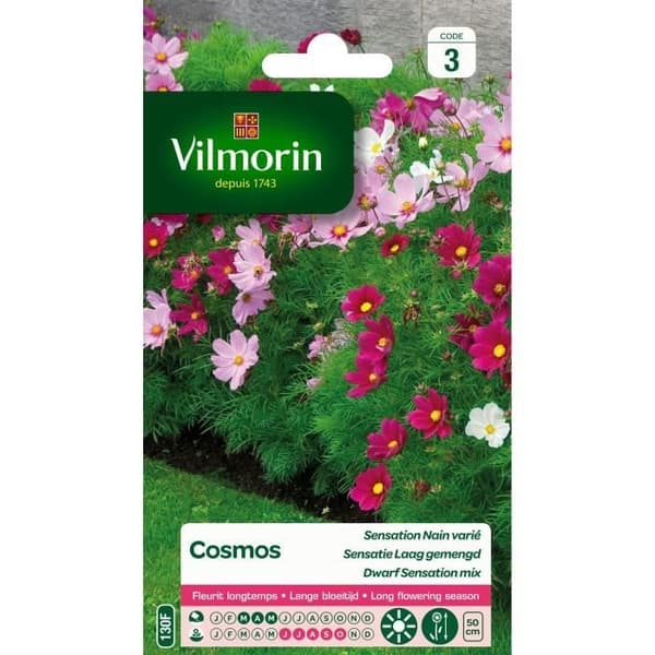 VILMORIN Cosmos Sensation dvärg varierad