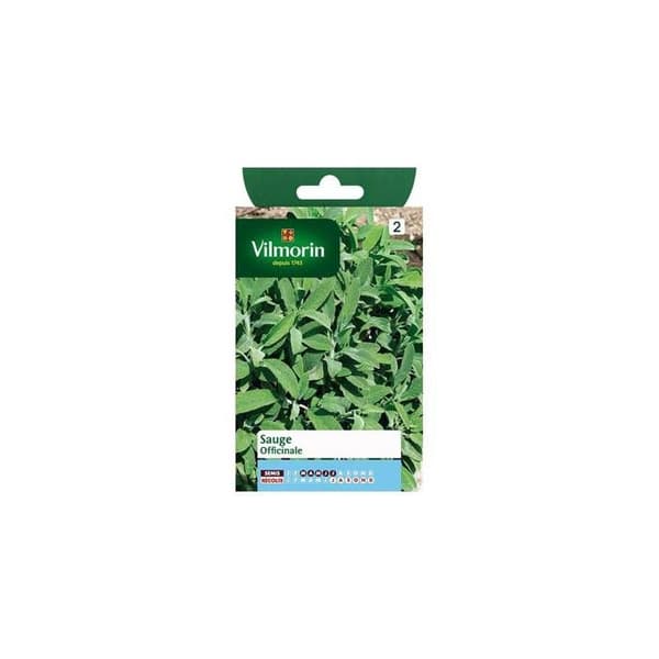 Påse med Officinale salviafrön - VILMORIN - Aromatisk - Vinter - Grönsaksträdgård och fruktträdgård