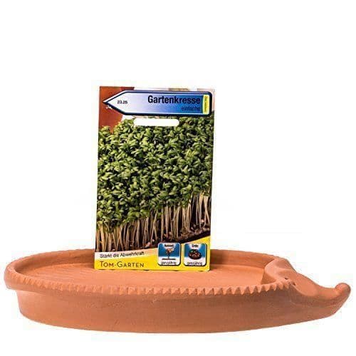 Römertopf Herbes de Cresson plyschig Igel av Cresson ca. 24 x 14 cm - 451 00