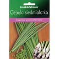 Pikkukuva 1 / 2: Seitsemänvuotiaat sipulin siemenet ruohosipulille mehukkaaksi herkäksi
