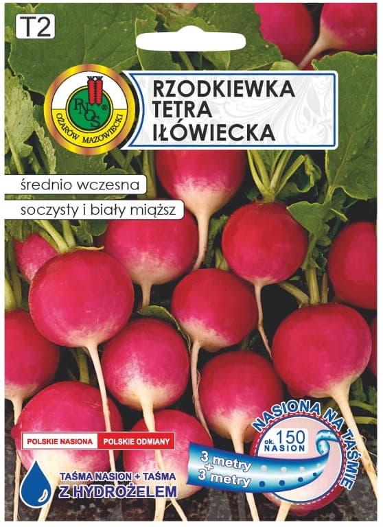 Retiisi Tetra Iłówiecka -nauha 6m Kevät- ja syksylajike, maanpinnan yläpuolella