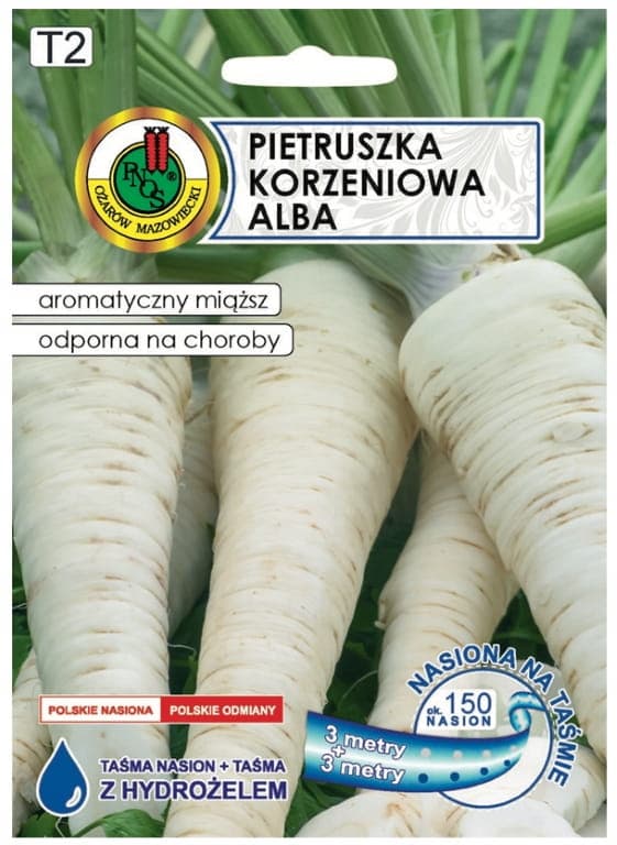 Persilja Alba -nauha 6m Keskikypsä myöhäinen lajike jalostukseen