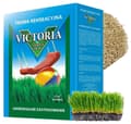 Miniatyrbillede 1 af 3: Græsfrø Sunny 0,8 kg Victoria