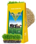 Pikkukuva 1 / 2: Victoria-ruohon siemenet kuiville alueille, aurinkoiset, 4 kg