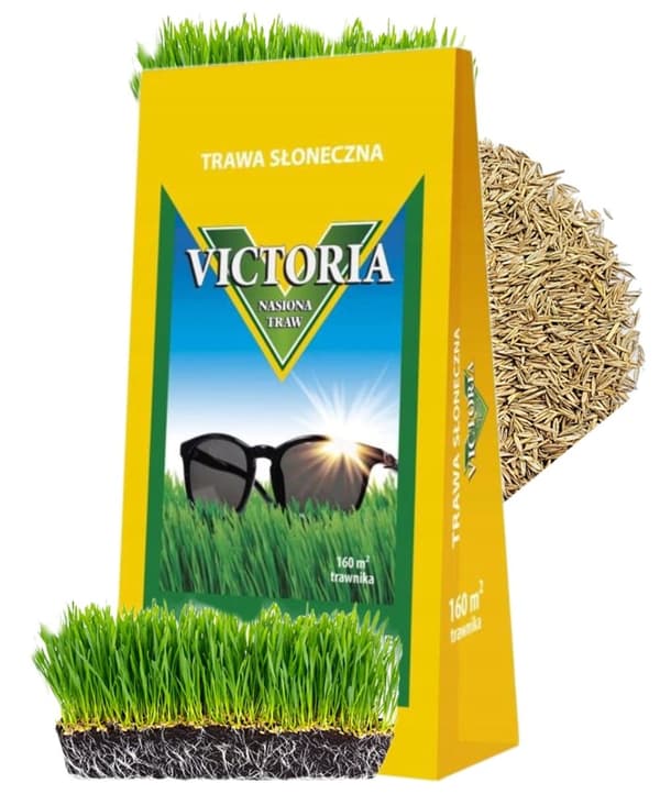Victoria-ruohon siemenet kuiville alueille, aurinkoiset, 4 kg