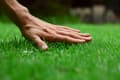 Miniatyrbild 4 av 4: Biopon Garden grass dekorativt gräsmatta 1 kg