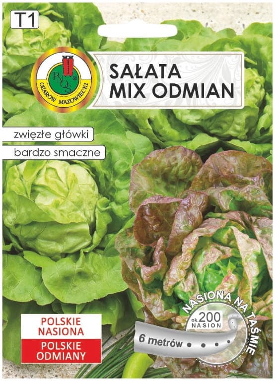 Butterhead salaatti Jubilatka + Edyta Ożarowska 6m varhaisia lajikkeita