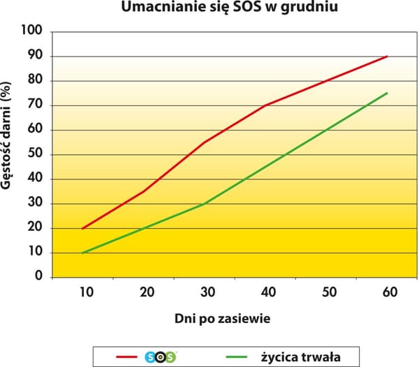 BARENBRUG SOS Quick Repair -nurmikon uudistusjauhe yläkylvöön 5 kg
