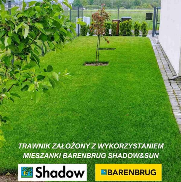 Barenbrug Grass SHADOW Shadow & Sun 1kg DRAGERADE FRÖN SUN - SHADOW