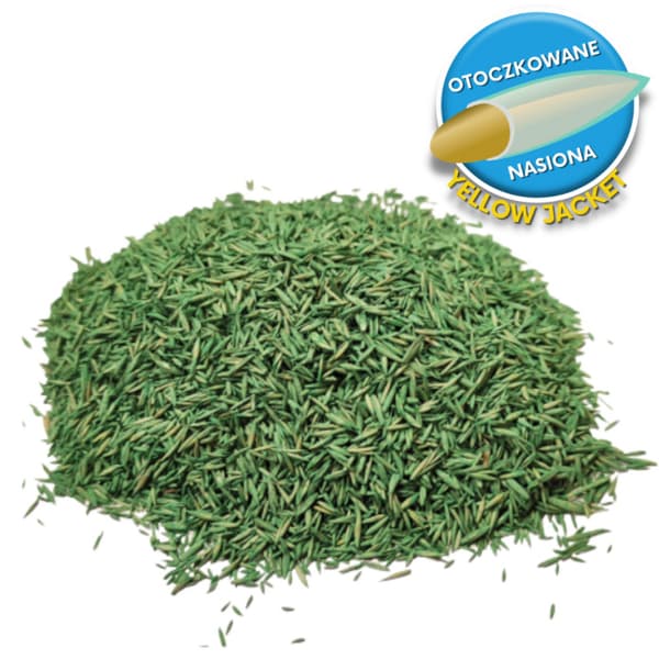 Barenbrug Grass SHADOW Shadow & Sun 1kg DRAGERADE FRÖN SUN - SHADOW
