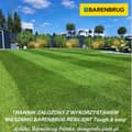 Miniatyrbild 6 av 11: Barenbrug gräsfrön MOTSTÅNDIG Slitstark och lätt 5 kg HÅLLBAR UNDER ARBETE