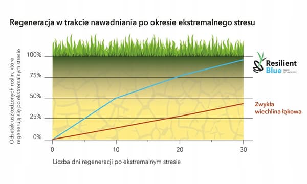 Barenbrugin ruoho JOUSTAVA Kestävä ja helppokäyttöinen 1 kg ERITTÄIN VAHVA SEKOITUS ROBOTILLE
