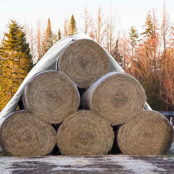 ECD Germany dækker flyvevævsplan med eyelets 8x10m 80m² 180g / m² hvid fremstillet af polyethylen støbeform resistent vandtæt tearfast