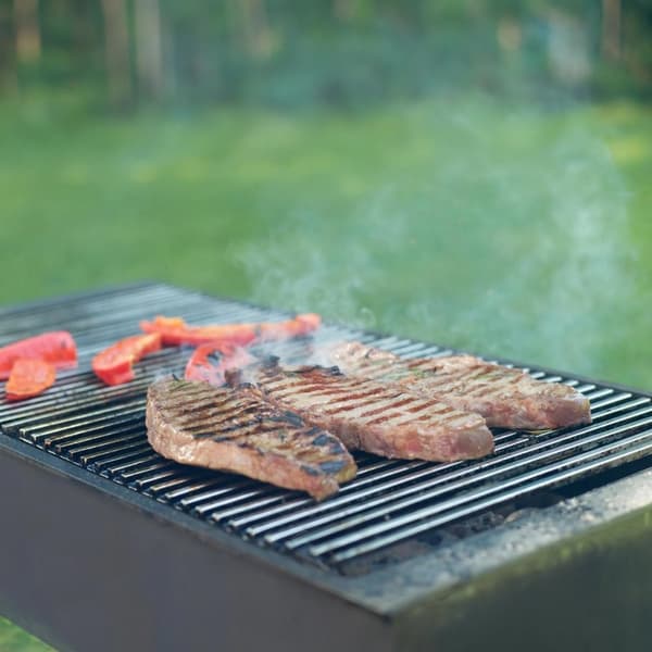 Grill grill rostfritt stål galler med avtagbara handtag 60 x 40 cm