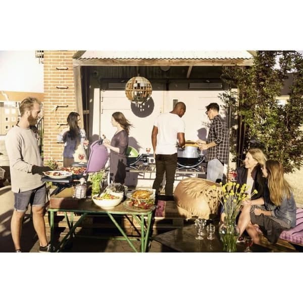 WEBER Weber Q 1400 Stand Electric Grill