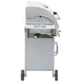 Miniatyrbild 8 av 10: vidaXL Gasolgrill 4+1 kokzoner silver