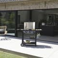 Miniatyrbild 4 av 4: COOK IN GARDEN – GAZ Design Grill - FLAVO -