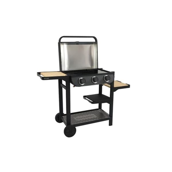 COOK IN GARDEN – GAZ Design Grill - FLAVO -