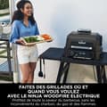 Miniatyrbillede 6 af 6: Havegrill Transportabel NINJA OG850EU