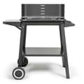 Miniatyrbillede 1 af 6: Kolgrill - LIVOO - DOC328 - Rostfritt stål