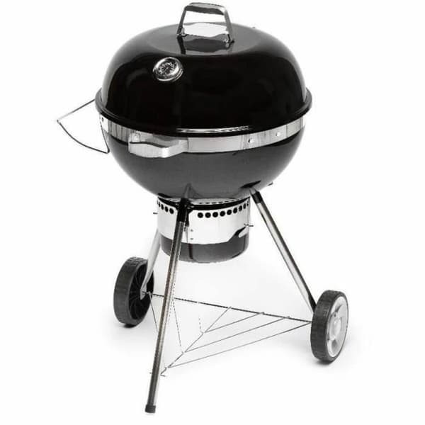 Bärbar Grill Fieldmann FZG 1017 Metall Stål