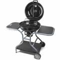 Miniatyrbillede 2 af 6: Havegrill Transportabel Fieldmann FZG 1014 Metal Stål