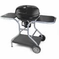 Miniatyrbilde 1 av 6: Bærbar Grill Fieldmann FZG 1014 Metall Stål