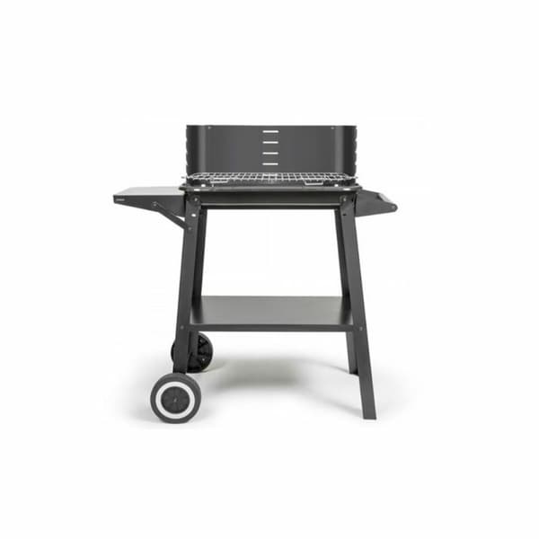 Havegrill Transportabel Livoo Rustfrit stål