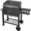 Miniatyrbild 1 av 6: Kolgrill - Fieldmann - FZG 1008