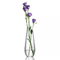 Miniatyrbillede 2 af 4: Enjoy Decanter, 80cl - Orrefors