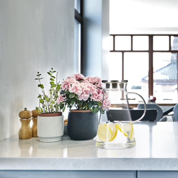 Relaxdays glaseri, 1,8 l, med lock, vatten, juice, aromatiserat vatten, diskmaskinssäker, transparent