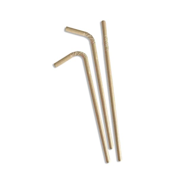 Uudelleenkäytettävä juomapilli Algon 19,7 x 0,6 cm 25 Kappaletta 24 osaa