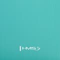 Miniatyrbillede 6 af 11: YM04 NY MINT YOGA MAT HMS