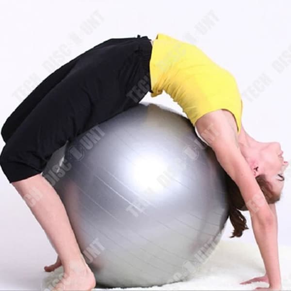 TD® Yoga Ball Ports Yoga Balls Pilates Fitness Gym Balans Fitball Massage Träning Träning Träningsboll