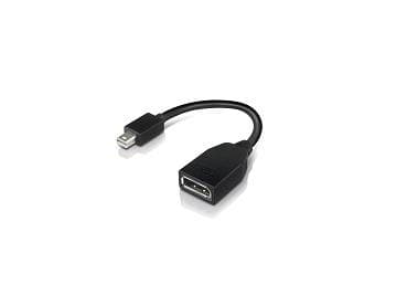 Lenovo - DisplayPort-adapter - Mini DisplayPort (hann) til DisplayPort (hunn) - 17.6 cm - for ThinkCentre M70; M75t Gen 2; M80; M90; ThinkStation P33