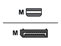 Lenovo - DisplayPort-adapter - Mini DisplayPort (hann) til DisplayPort (hunn) - 17.6 cm - for ThinkCentre M70; M75t Gen 2; M80; M90; ThinkStation P33