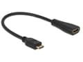 Miniatyrbild 3 av 5: Delock - HDMI-kabel med Ethernet - 19 pin mini HDMI Type C hane till HDMI hona - 23 cm - svart