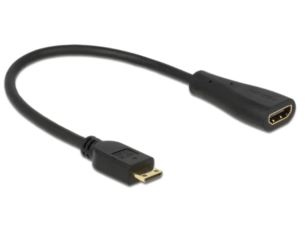 Delock - HDMI-kabel med Ethernet - 19 pin mini HDMI Type C hane till HDMI hona - 23 cm - svart