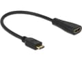 Miniatyrbild 4 av 5: Delock - HDMI-kabel med Ethernet - 19 pin mini HDMI Type C hane till HDMI hona - 23 cm - svart