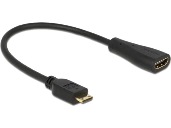 Delock - HDMI-kabel med Ethernet - 19 pin mini HDMI Type C hane till HDMI hona - 23 cm - svart