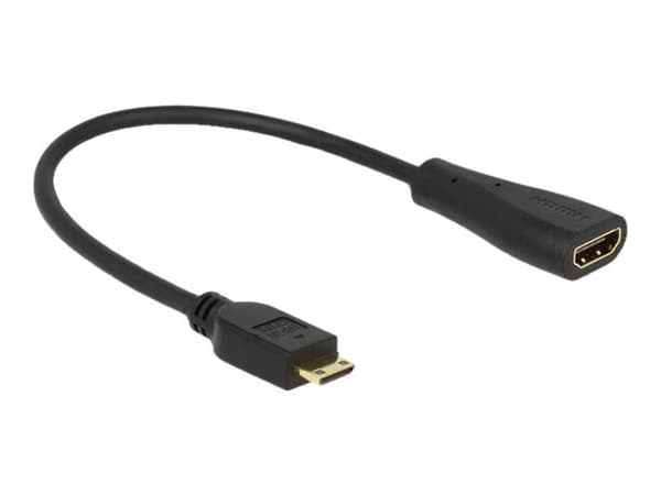 Delock - HDMI-kabel med Ethernet - 19 pin mini HDMI Type C hane till HDMI hona - 23 cm - svart
