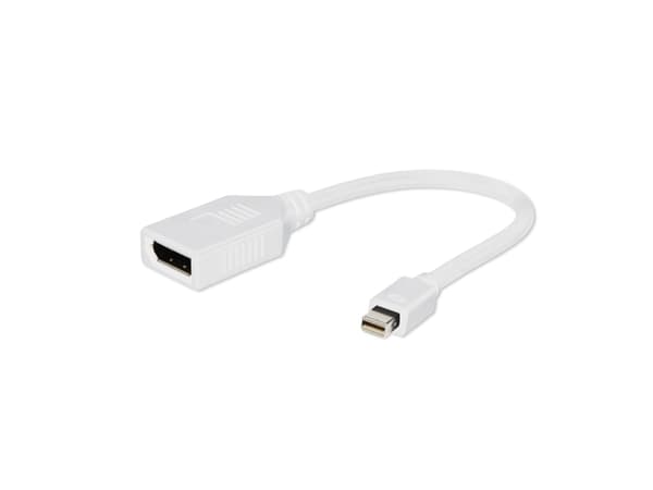 Cablexpert - DisplayPort-adapter - DisplayPort (hunn) til Mini DisplayPort (hann) - 10 cm - hvit