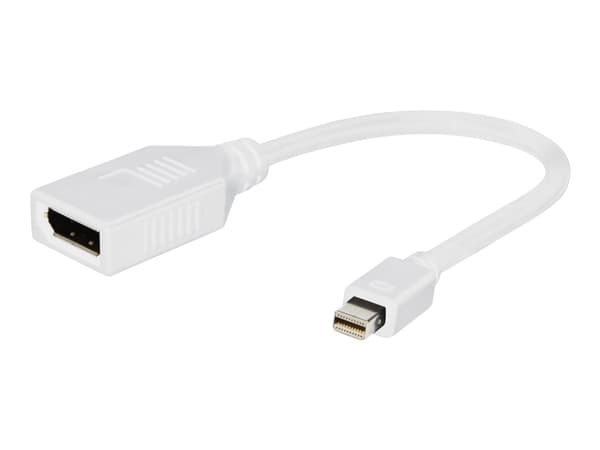 Cablexpert - DisplayPort-adapter - DisplayPort (hunn) til Mini DisplayPort (hann) - 10 cm - hvit