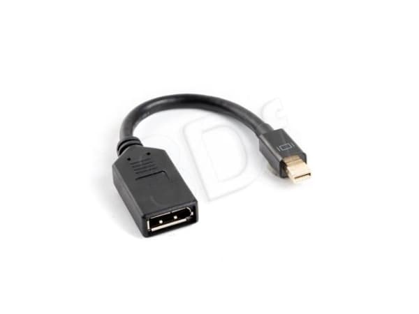 Lanberg - DisplayPort-adapter - Mini DisplayPort hann til DisplayPort hunn - 12 cm