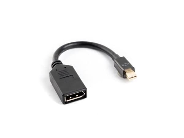 Lanberg - DisplayPort-adapter - Mini DisplayPort hann til DisplayPort hunn - 12 cm