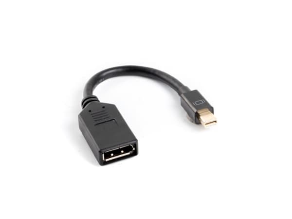 Lanberg - DisplayPort-adapter - Mini DisplayPort hann til DisplayPort hunn - 12 cm