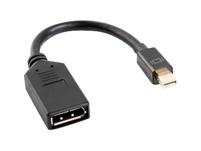 Lanberg - DisplayPort-adapter - Mini DisplayPort hann til DisplayPort hunn - 12 cm