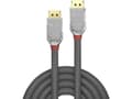 Miniatyrbilde 5 av 5: Lindy 36304, 5 m, DisplayPort, DisplayPort, Hankjønn, Hankjønn, 4096 x 2160 piksler