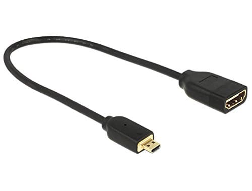 Delock - HDMI-adapter - HDMI hunn til 19 pin micro HDMI Type D hann - 20 cm - trippel beskyttelse - svart - 4K-støtte